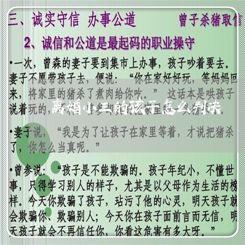 离婚小三的孩子怎么判决/2023111605067