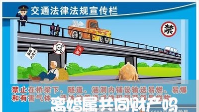 离婚属共同财产吗/2023100185138