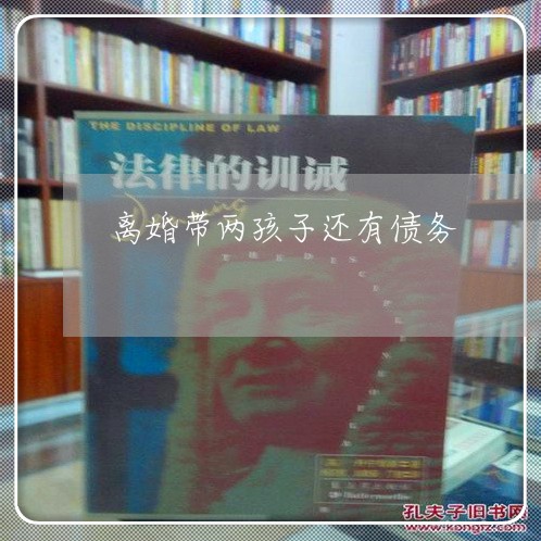 离婚带两孩子还有债务/2023111664606