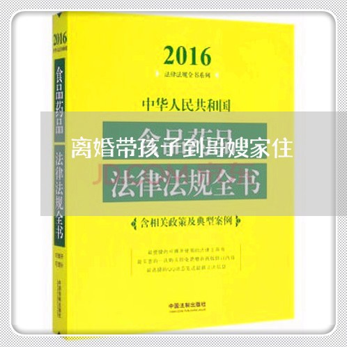 离婚带孩子到哥嫂家住/2023111693028