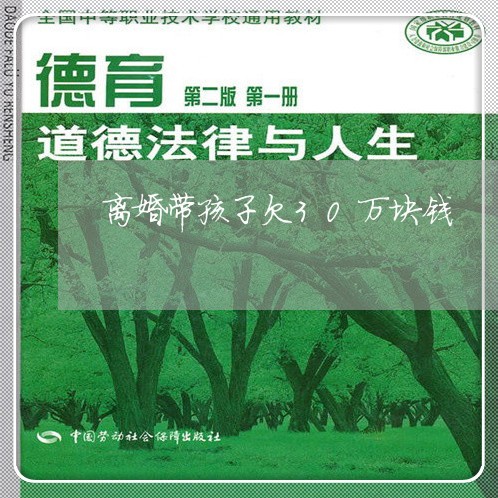 离婚带孩子欠30万块钱/2023111694047