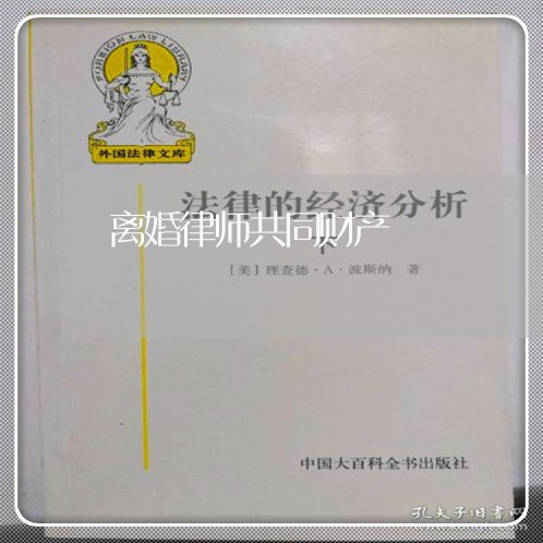 离婚律师共同财产/2023093053016