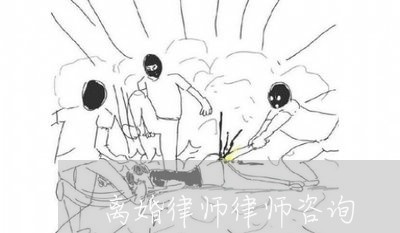 离婚律师律师咨询/2023032707957