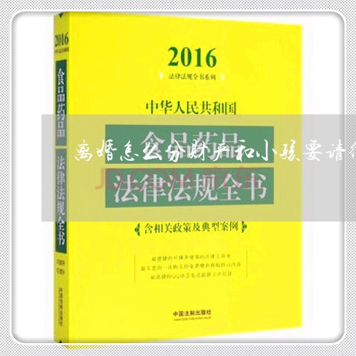 离婚怎么分财产和小孩要请律师吗/2023111615038