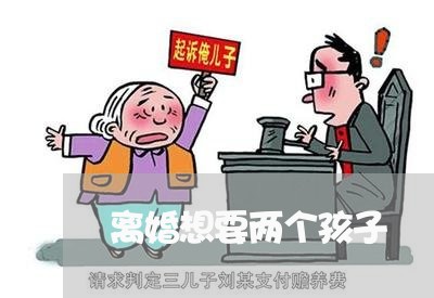 离婚想要两个孩子/2023092428461