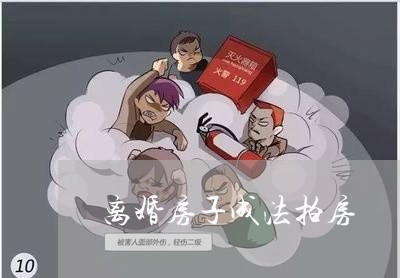 离婚房子成法拍房/2023092426269