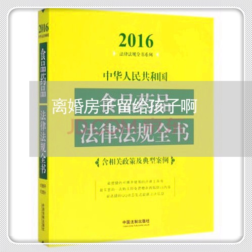 离婚房子留给孩子啊/2023110249261