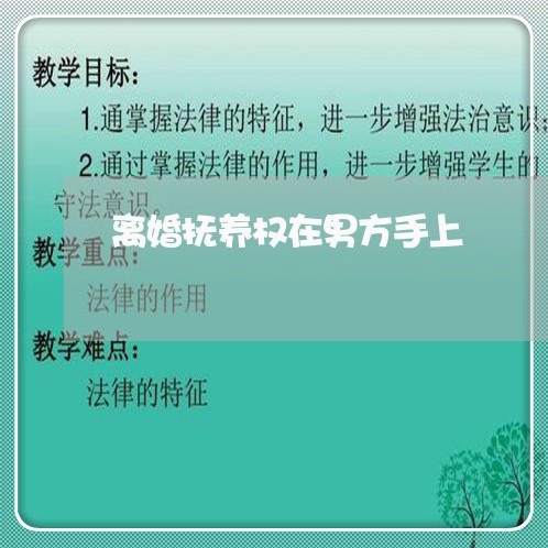 离婚抚养权在男方手上/2023111608258