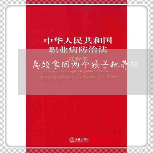 离婚拿回两个孩子抚养权/2023111671826