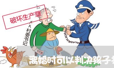 离婚时可以判决孩子共同抚养吗/2023111694837