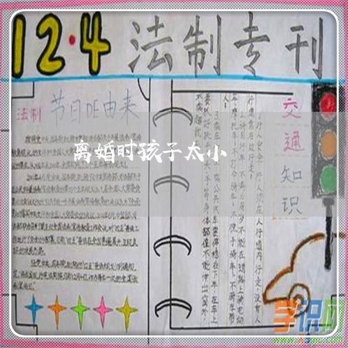 离婚时孩子太小/2023121695960