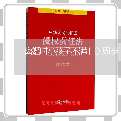 离婚时小孩子不满10周岁/2023111649291