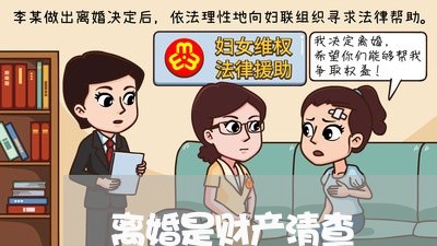 离婚是财产清查/2023090528258