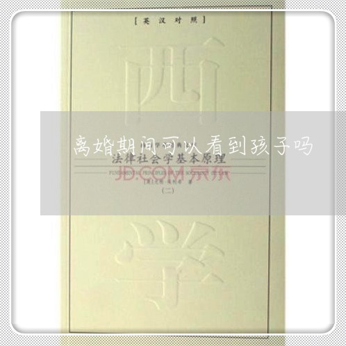 离婚期间可以看到孩子吗/2023111684915