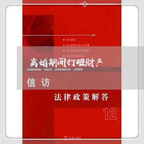 离婚期间打砸财产/2023100164847