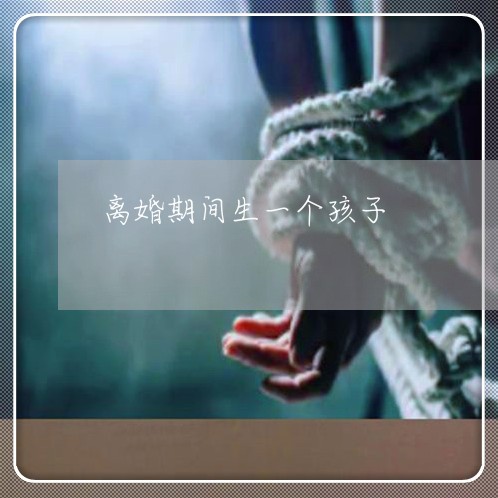 离婚期间生一个孩子/2023111676958