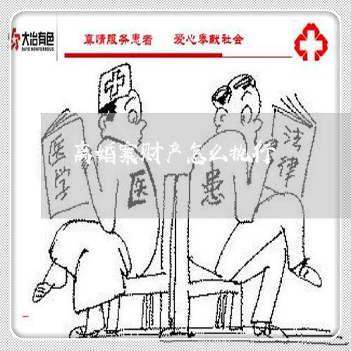 离婚案财产怎么执行/2023110910614