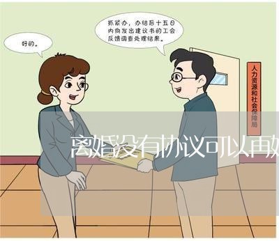 离婚没有协议可以再婚吗/2023111658260