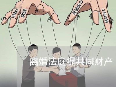 离婚法庭提共同财产/2023111027359