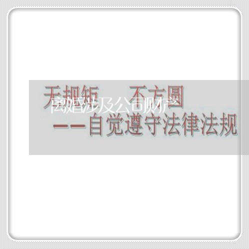 离婚涉及公司财产/2023093016047