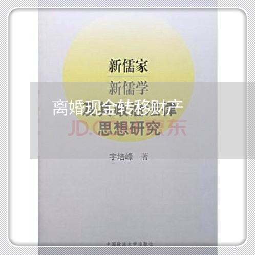 离婚现金转移财产/2023100296037