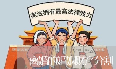 离婚的婚姻财产分割/2023111041593