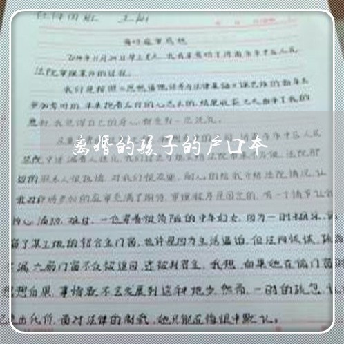 离婚的孩子的户口本/2023111560671