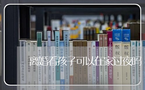 离婚看孩子可以在家过夜吗/2023111573715