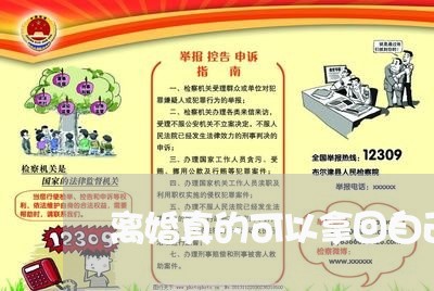 离婚真的可以拿回自己婚前财产/2023111510705