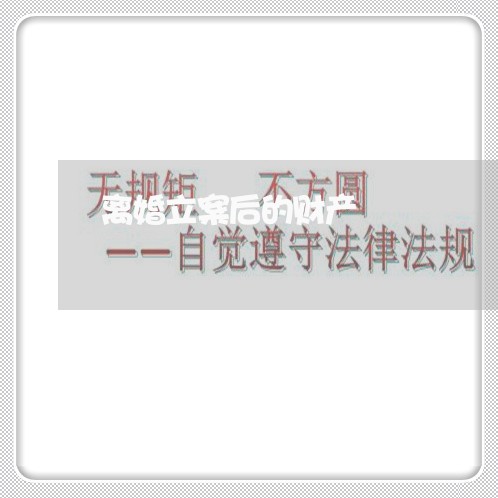 离婚立案后的财产/2023100130471