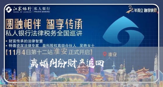 离婚纠纷财产追回/2023100228381