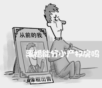 离婚能分小产权房吗/2023110239470