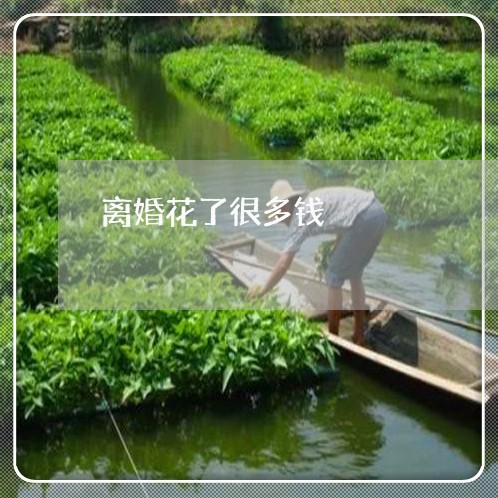 离婚花了很多钱/2023121510490