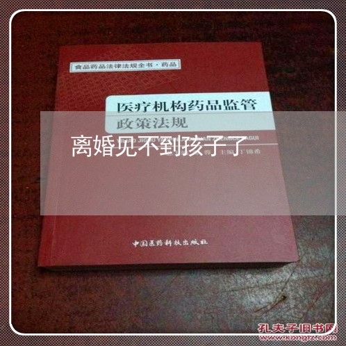 离婚见不到孩子了/2023092772716