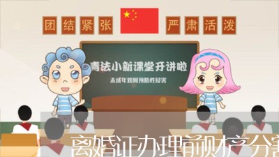 离婚证办理前财产分割/2023111574815