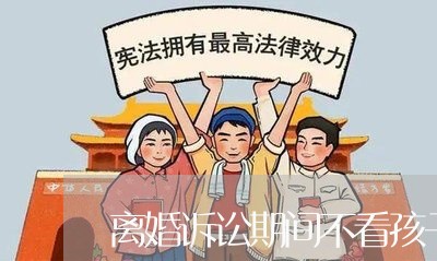 离婚诉讼期间不看孩子/2023111547369