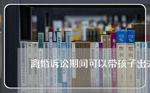 离婚诉讼期间可以带孩子出去玩吗/2023111553706