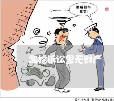 离婚诉讼里无财产/2023100134349