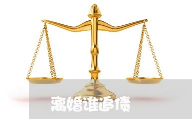 离婚谁追债/2023100507048