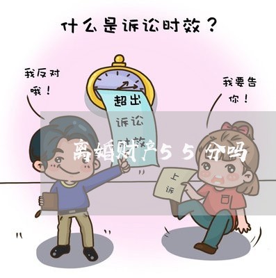 离婚财产55分吗/2023100640381