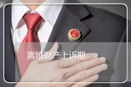 离婚财产上诉期/2023090560593