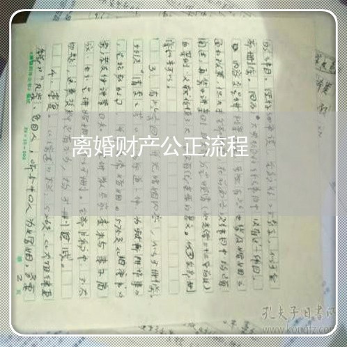 离婚财产公正流程/2023100284827