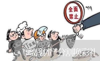 离婚财产分割换彩礼/2023110498471