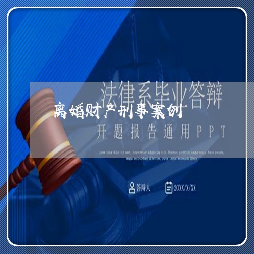 离婚财产刑事案例/2023093040372