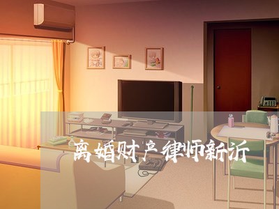 离婚财产律师新沂/2023093044837