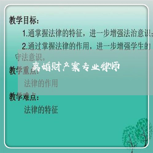 离婚财产案专业律师/2023110574037