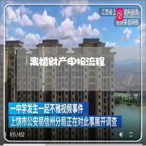 离婚财产申报流程/2023100216049