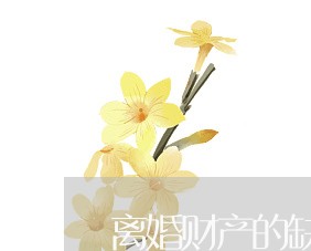 离婚财产的缺点/2023121828452