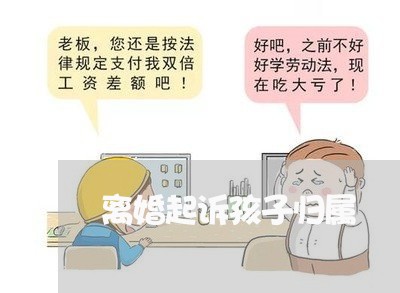 离婚起诉孩子归属/2023100173939