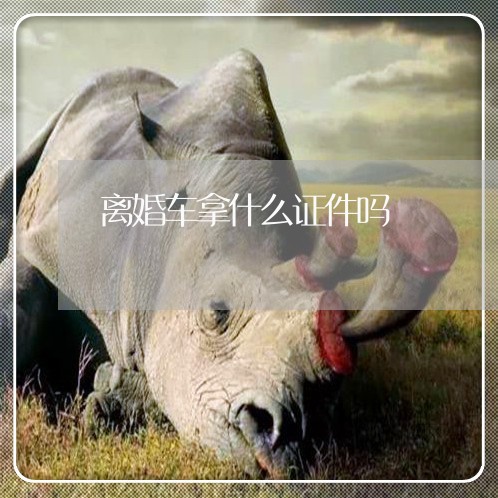 离婚车拿什么证件吗/2023110417158